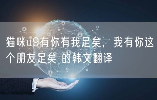 猫咪u9有你有我足矣，我有你这个朋友足矣 的韩文翻译