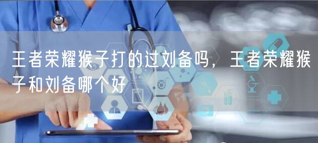 王者荣耀猴子打的过刘备吗，王者荣耀猴子和刘备哪个好