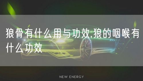 狼骨有什么用与功效,狼的咽喉有什么功效