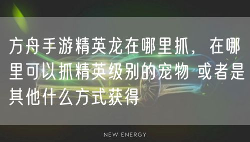 方舟手游精英龙在哪里抓，在哪里可以抓精英级别的宠物 或者是其他什么方式获得