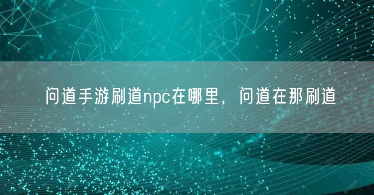 问道手游刷道npc在哪里，问道在那刷道