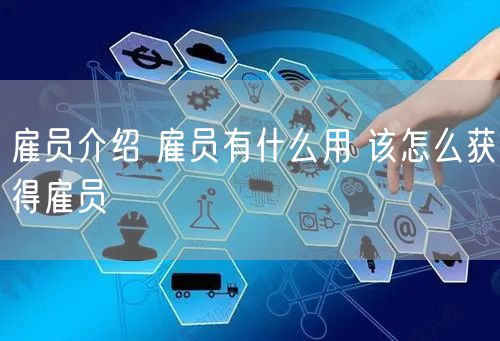雇员介绍 雇员有什么用 该怎么获得雇员
