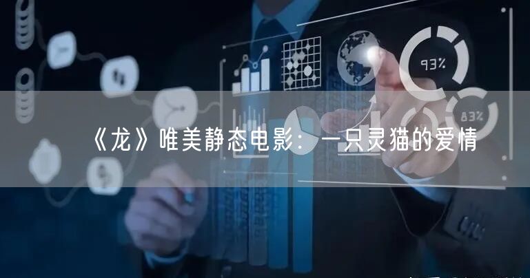 《龙》唯美静态电影：一只灵猫的爱情