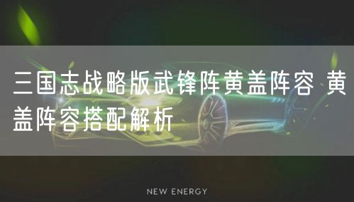 三国志战略版武锋阵黄盖阵容 黄盖阵容搭配解析