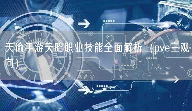 天谕手游天昭职业技能全面解析（pve主观向）