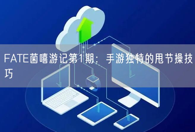 FATE菌嘻游记第1期：手游独特的甩节操技巧