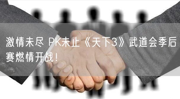 激情未尽 PK未止《天下3》武道会季后赛燃情开战！