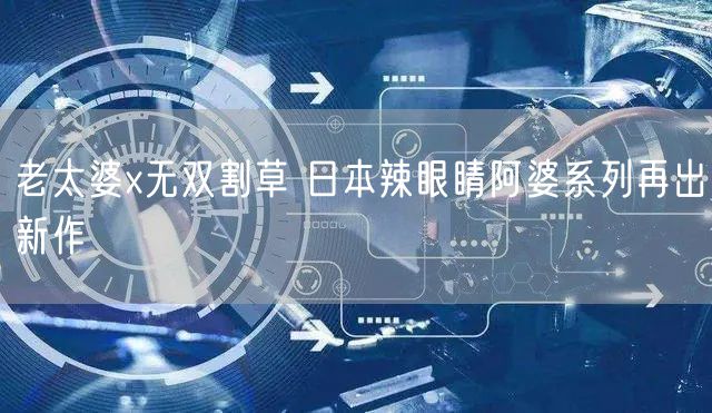 老太婆x无双割草 日本辣眼睛阿婆系列再出新作