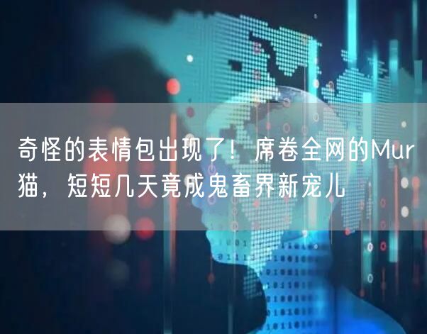 奇怪的表情包出现了！席卷全网的Mur猫，短短几天竟成鬼畜界新宠儿