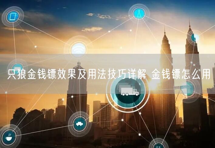 只狼金钱镖效果及用法技巧详解 金钱镖怎么用
