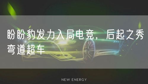 盼盼豹发力入局电竞，后起之秀弯道超车