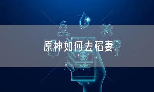 原神如何去稻妻