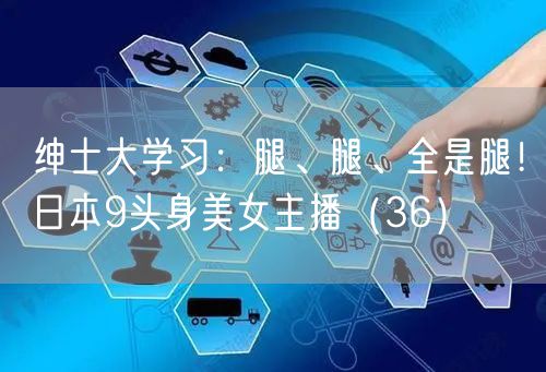 绅士大学习：腿、腿、全是腿！日本9头身美女主播（36）