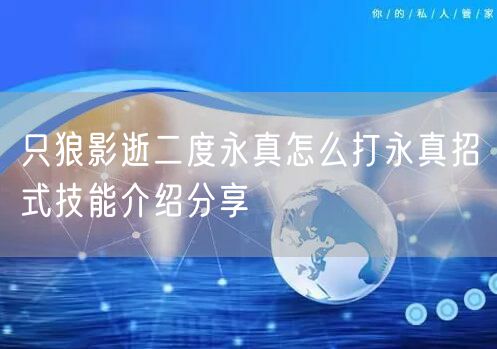 只狼影逝二度永真怎么打永真招式技能介绍分享