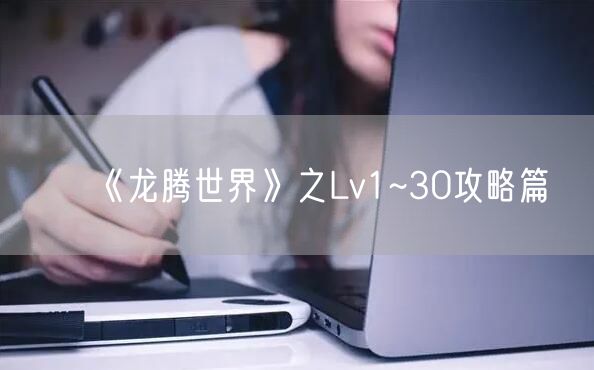 《龙腾世界》之Lv1~30攻略篇