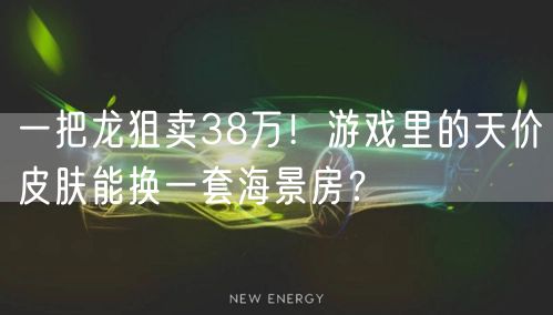一把龙狙卖38万！游戏里的天价皮肤能换一套海景房？