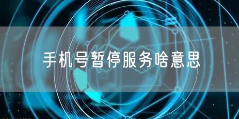 手机号暂停服务啥意思
