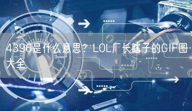 4396是什么意思？LOL厂长瞎子的GIF图大全