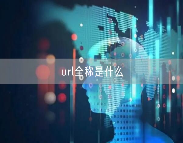 url全称是什么