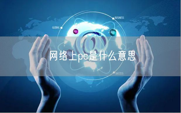 网络上pc是什么意思