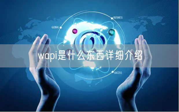 wapi是什么东西详细介绍