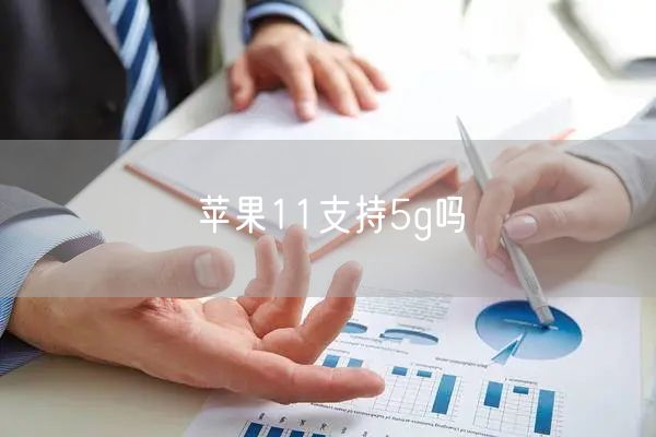 苹果11支持5g吗