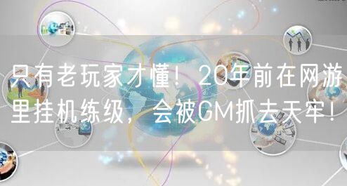 只有老玩家才懂！20年前在网游里挂机练级，会被GM抓去天牢！