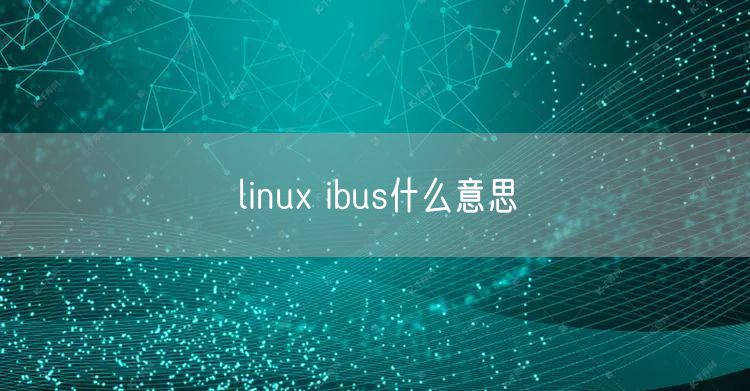 linux ibus什么意思