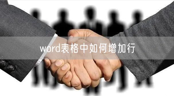 word表格中如何增加行
