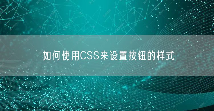 如何使用CSS来设置按钮的样式