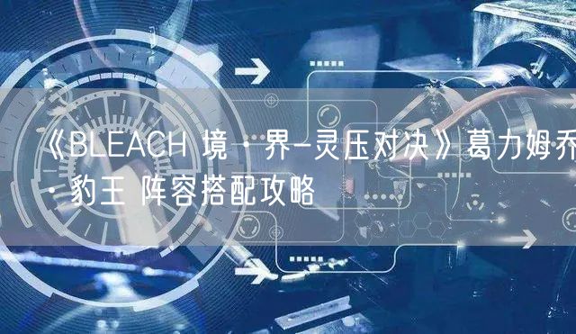 《BLEACH 境·界-灵压对决》葛力姆乔·豹王 阵容搭配攻略