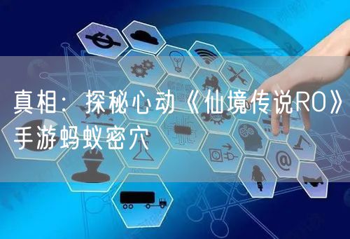 真相：探秘心动《仙境传说RO》手游蚂蚁密穴