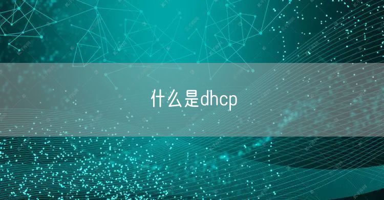 什么是dhcp