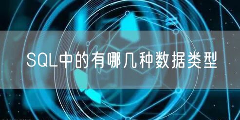SQL中的有哪几种数据类型