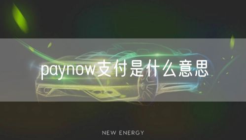 paynow支付是什么意思