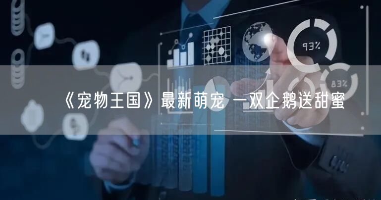 《宠物王国》最新萌宠 一双企鹅送甜蜜