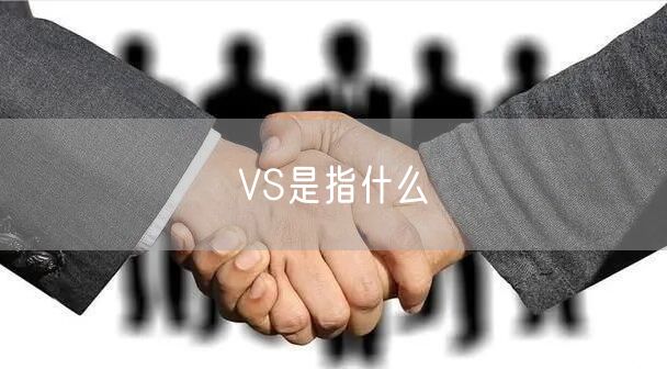 VS是指什么