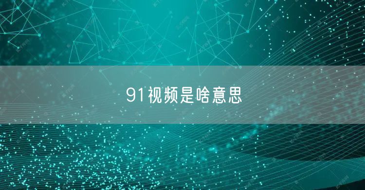91视频是啥意思