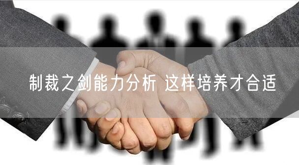 制裁之剑能力分析 这样培养才合适