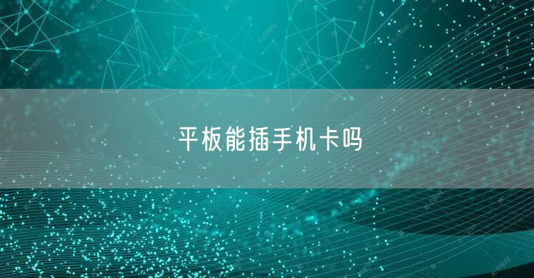 平板能插手机卡吗