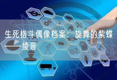 生死格斗偶像档案：旋舞的紫蝶——绫音