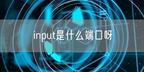 input是什么端口呀