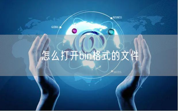 怎么打开bin格式的文件