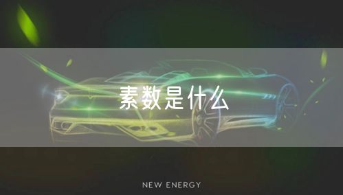 素数是什么