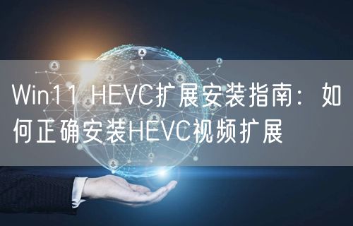 Win11 HEVC扩展安装指南：如何正确安装HEVC视频扩展