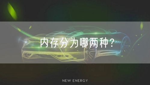 内存分为哪两种？