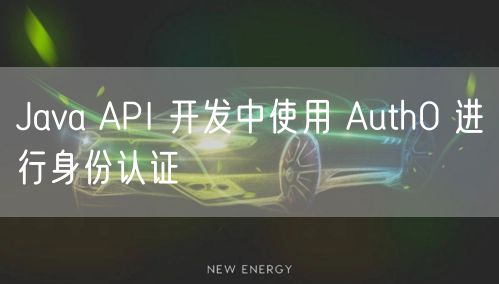 Java API 开发中使用 Auth0 进行身份认证