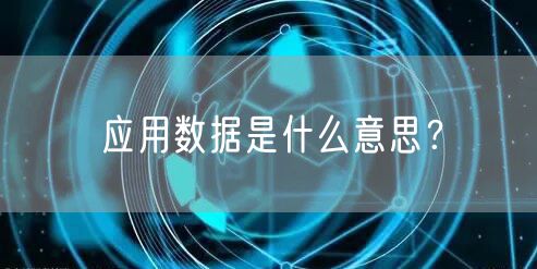 应用数据是什么意思？