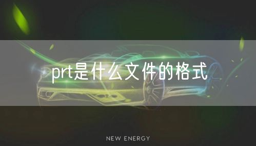 prt是什么文件的格式