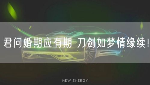 君问婚期应有期 刀剑如梦情缘续！